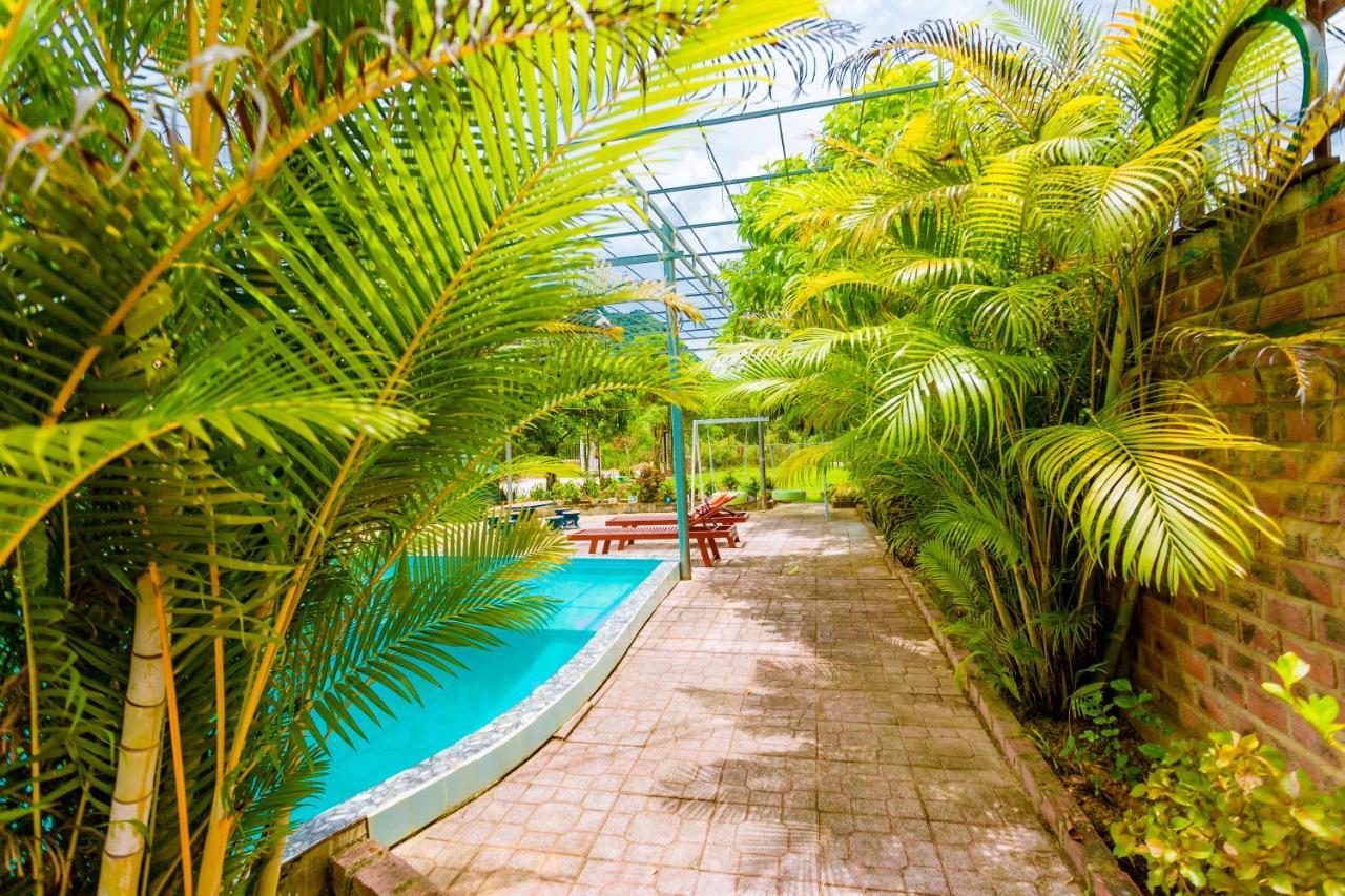 Phong Nha Amanda 2 Homestay エクステリア 写真